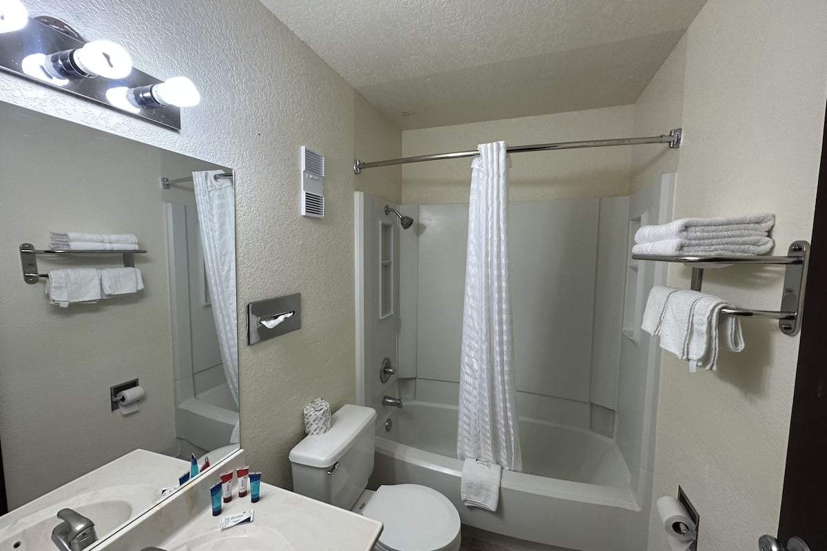 economy single room, 1 king bed, non smoking | bathroom | bathtub, hair dryer, dressing gowns, towels