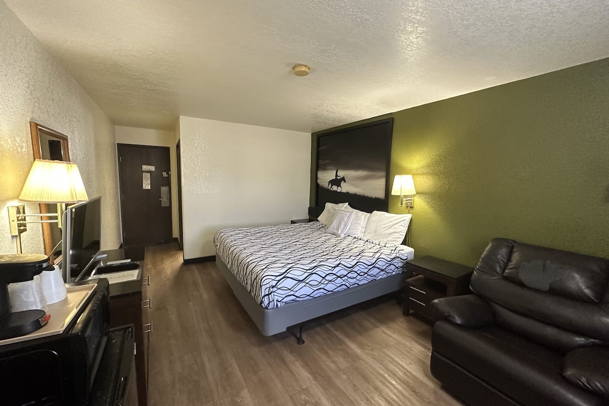 economy single room, 1 king bed, non smoking | desk, iron/ironing board, free wifi, bed sheets