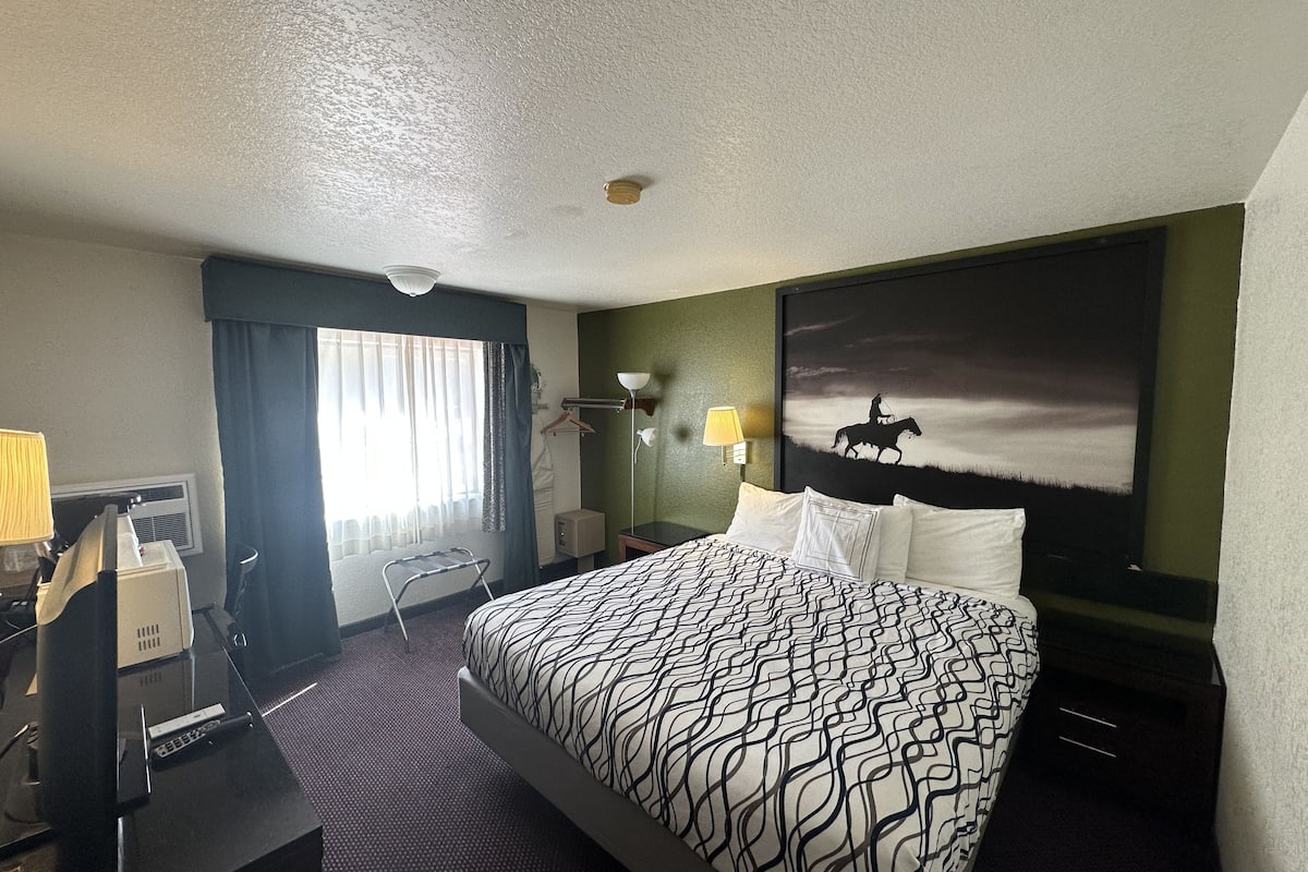 economy single room, 1 king bed, non smoking | desk, iron/ironing board, free wifi, bed sheets