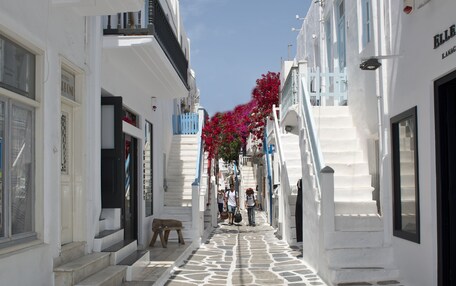 A narrow street with white buildings, stone pavement, and a bench.