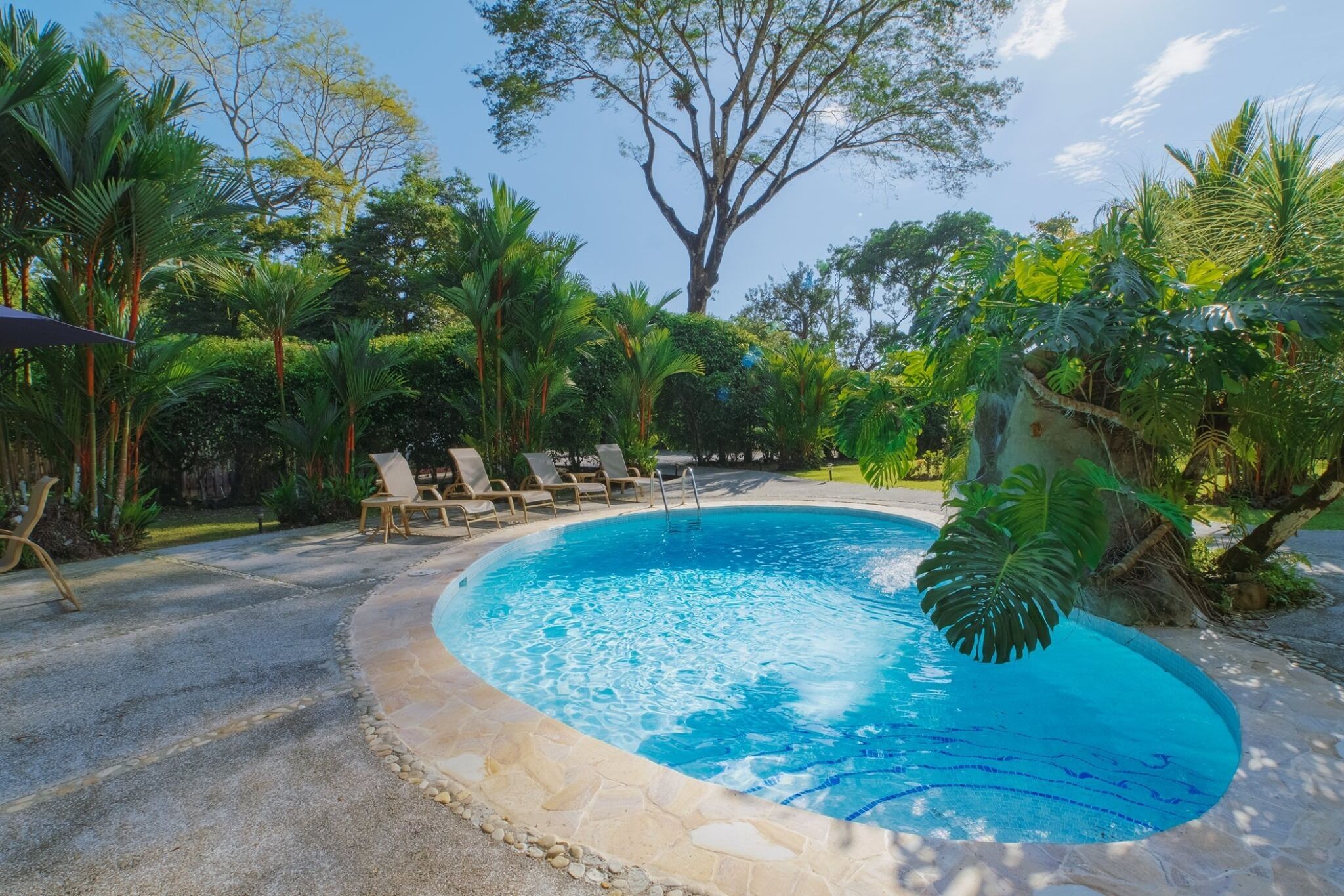 A swimming pool surrounded by lush greenery and lounge chairs.
