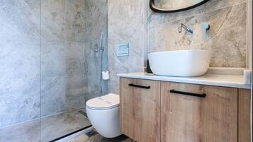 A bathroom with a shower, toilet, and vanity with a sink and mirror.