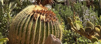 Home2Book Casa Julianna, Dream Oasis with Pool