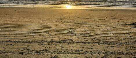 Playa en los alrededores