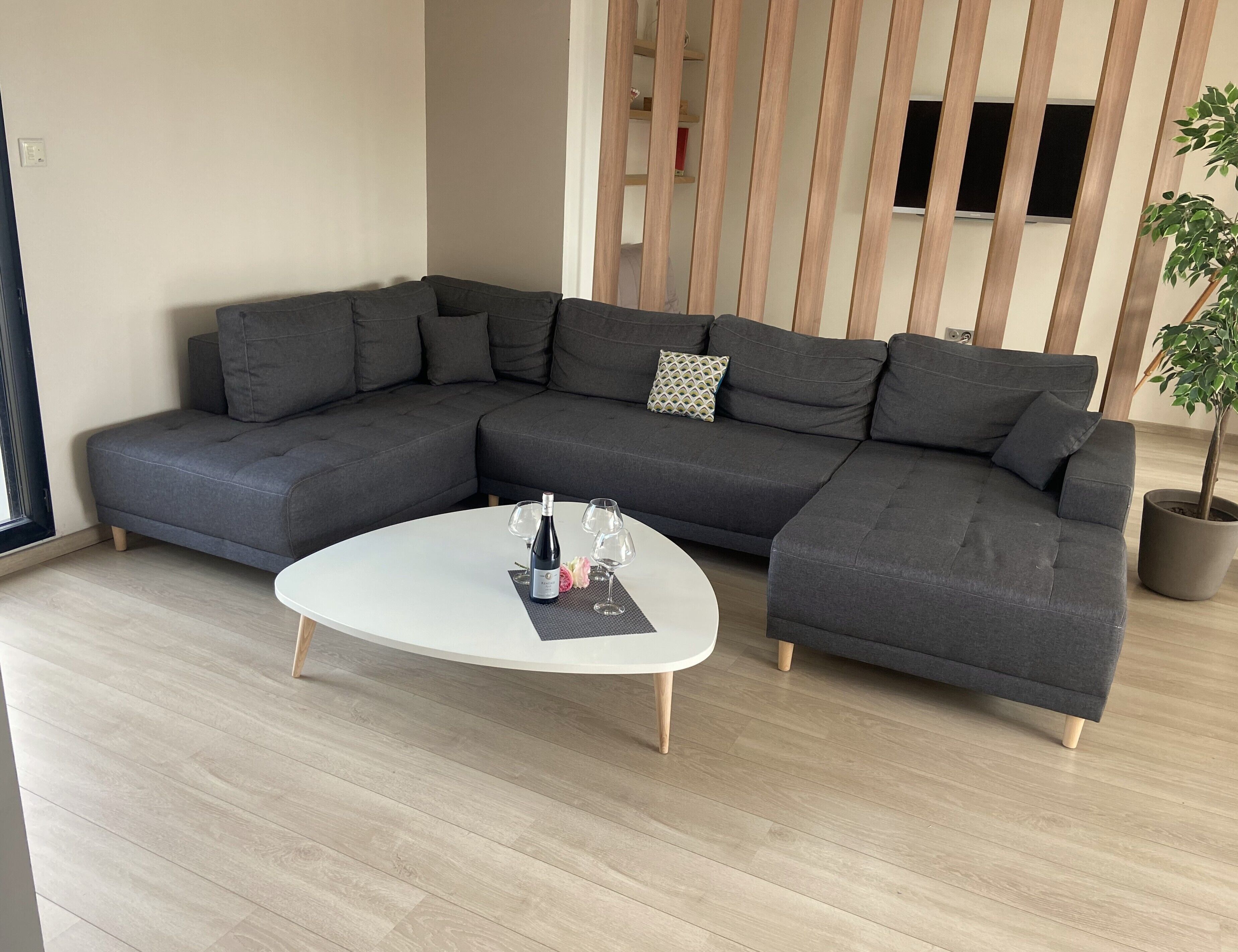TV connectée, table de tennis de table, livres