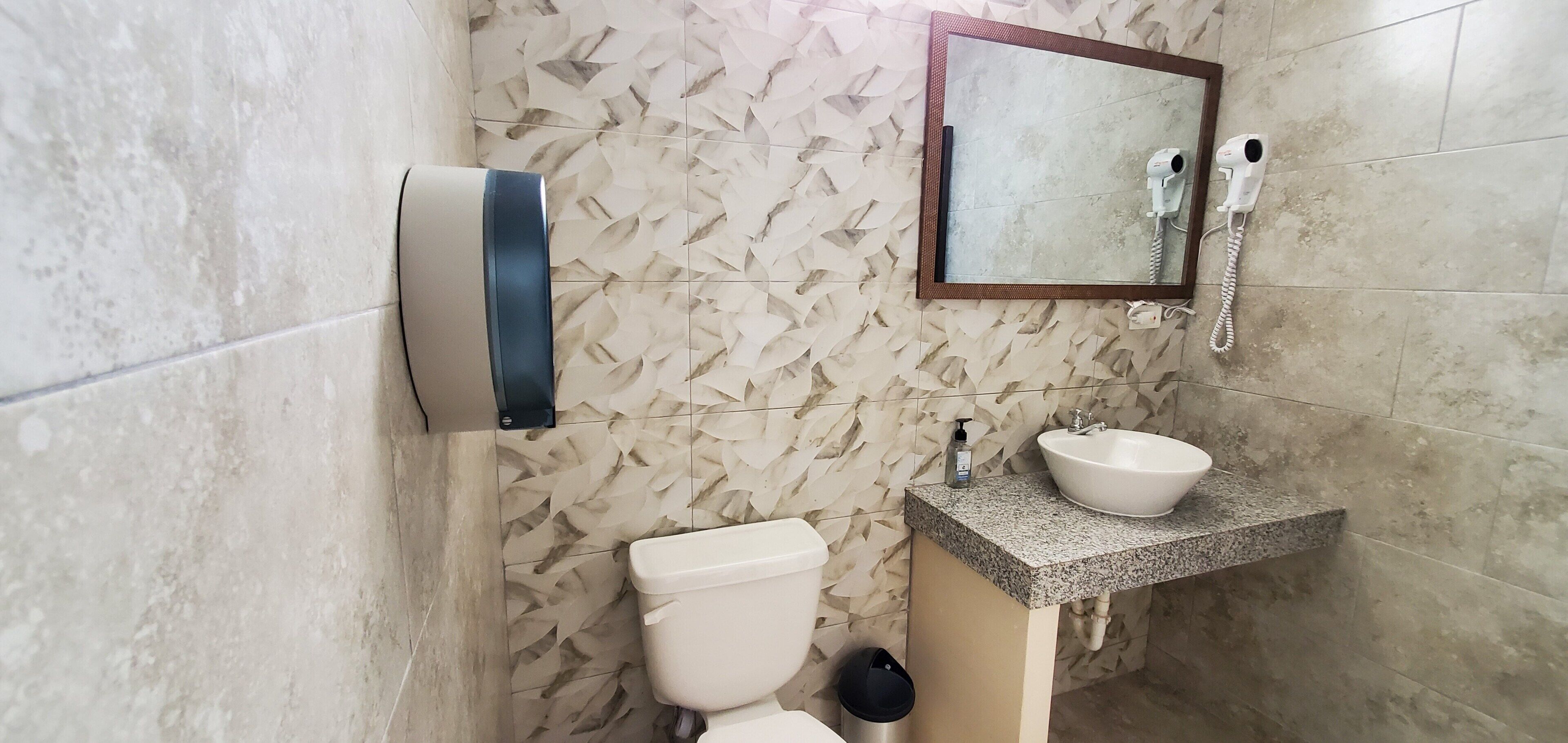 Een badkamer met een toilet, een wastafel, een spiegel en een aan de muur bevestigde haardroger.