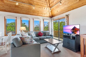 TV, video library, stereo