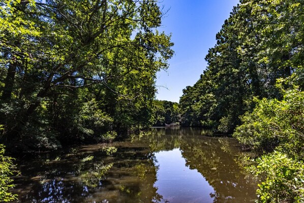 Un fiume tranquillo circondato da fitta vegetazione.
