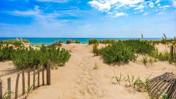 Uma trilha de areia que leva ao oceano, com uma cerca de madeira de um lado.