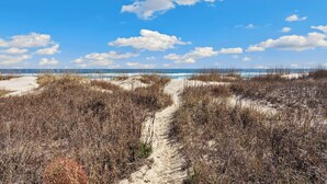 A beach path surrounded by dry vegetation leading to the ocean. - 5060 Dolphin's Watch * Oceanfront * Elevator (Kill Devil Hills)