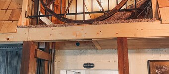 Wolf's Cabin Near Historic Downtown Noblesville