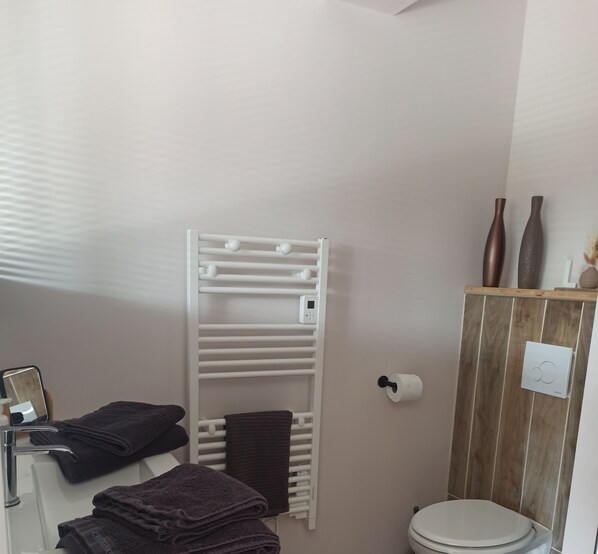 A bathroom with a white towel rack, a toilet, and a mirror. - Maison en pleine nature (Valencisse)