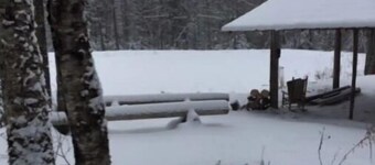 LITTLE SISTER'S CAMP SITE