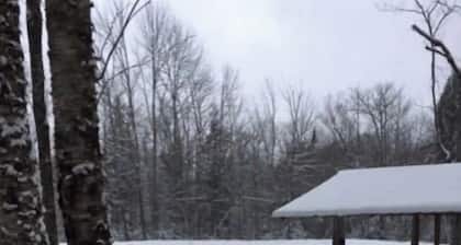 LITTLE SISTER'S CAMP SITE
