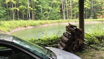 Ein weißer Porsche 1-L steht unter einem hölzernen Unterstand mit Blick auf einen Wald und einen Teich.