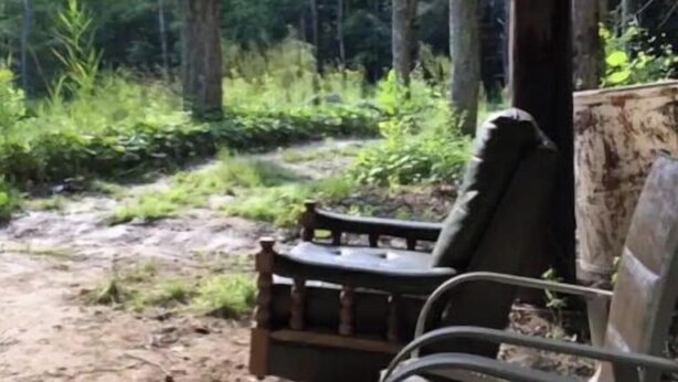 Un espace extérieur aménagé dans un style rustique, avec un banc en bois et une chaise en métal, le tout entouré d’un paysage boisé.