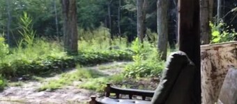 LITTLE SISTER'S CAMP SITE