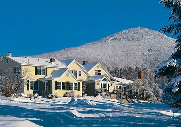 A row of yellow houses with a mountain in the background.
