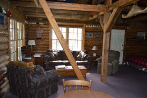 Smart TV, fireplace, DVD player, books