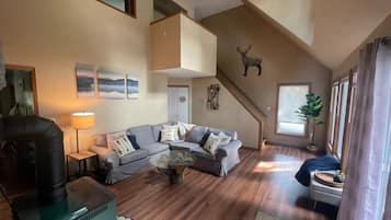 スマートテレビ、暖炉、DVD プレーヤー、ビデオライブラリ