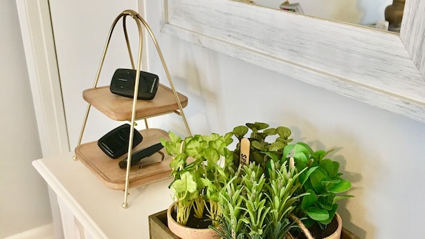 Une console blanche, surmontée d’un présentoir à plantes en bois, où sont posées trois enceintes noires et un plateau en bois contenant des plantes en pot.