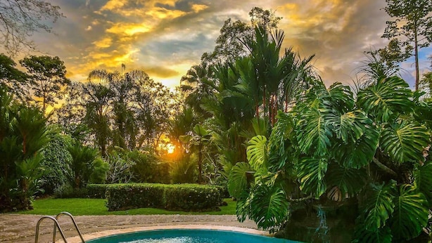 Une piscine avec deux bouées gonflables, entourée d’une végétation luxuriante, et un coucher de soleil en arrière-plan.