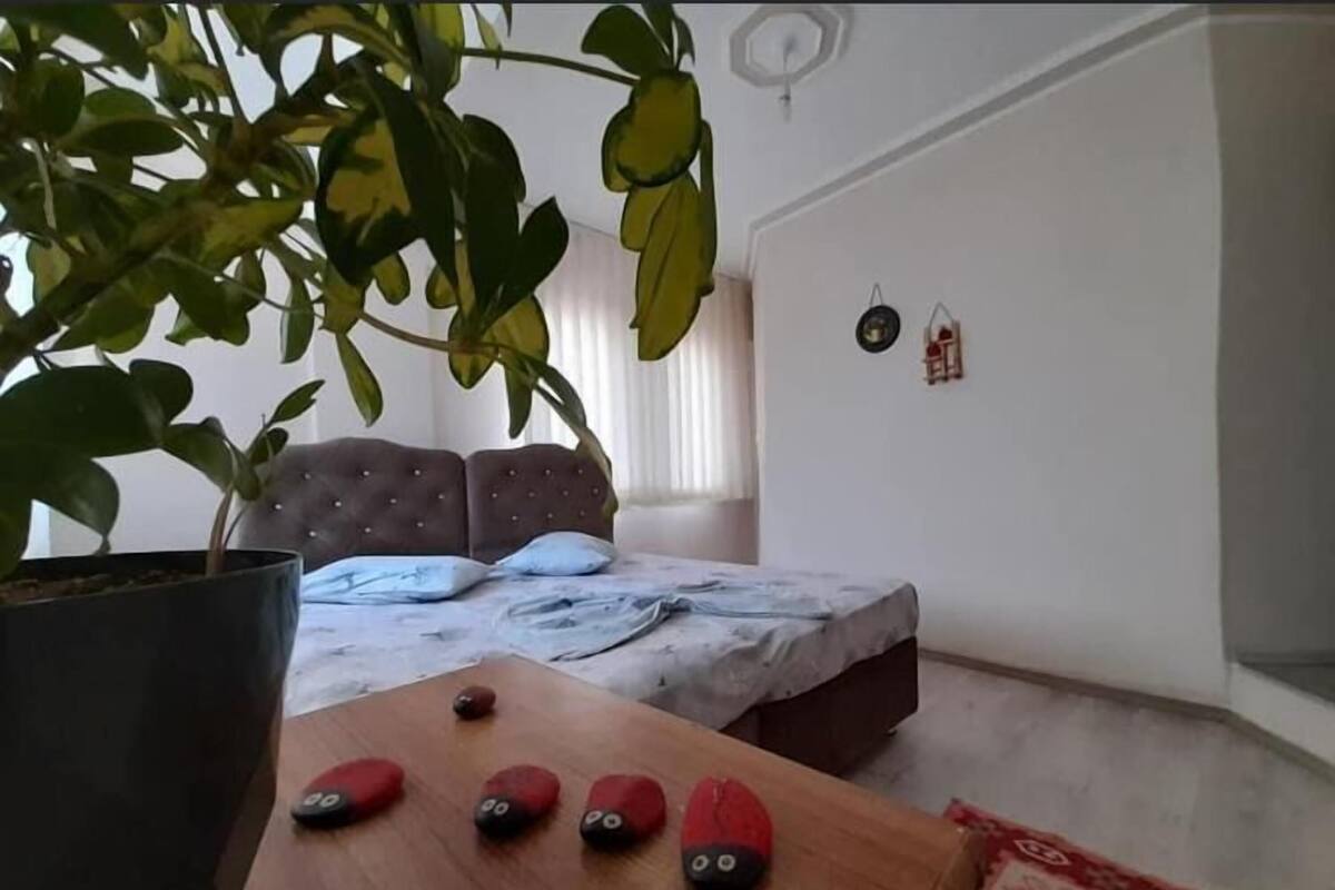 Quarto com uma cama, um vaso grande de planta, uma mesa de madeira com sapatos e um tapete estampado.