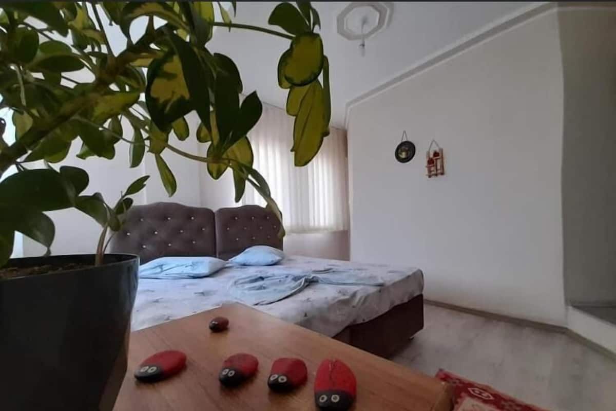 Schreibtisch, laptopgeeigneter Arbeitsplatz, schallisolierte Zimmer
