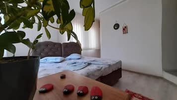 Kahden hengen classic-huone (yksi tai kaksi sänkyä), 1 makuuhuone, näköala puutarhaan | 2 makuuhuonetta, työpöytä, kannettavalle tietokoneelle sopiva työtila