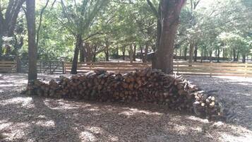 Parco della struttura