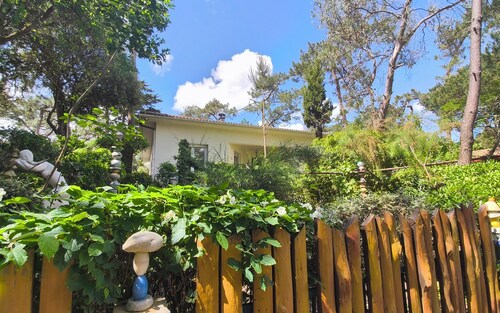 Villa Papy, Ronce les bains