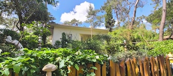 Villa Papy, Ronce les bains