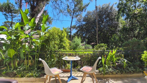 Un espace extérieur aménagé avec deux chaises et une petite table, entouré d’une végétation luxuriante et d’arbres.