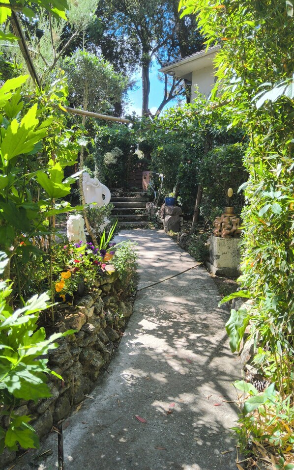 A garden pathway with stone walls, various plants, and a white sculpture.
