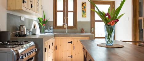 Fridge, oven, stovetop, electric kettle