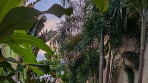 A pathway surrounded by lush tropical plants and palm trees, leading to a building with a beige wall.
