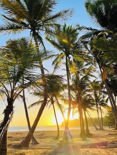 Sea breeze, Sun & walking distance from the beach