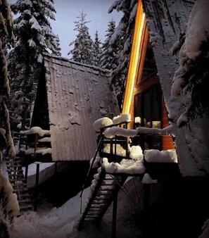 Exterior - Cabin in the forest, near to ski lift, provide breakfast and dinner (Mestia)