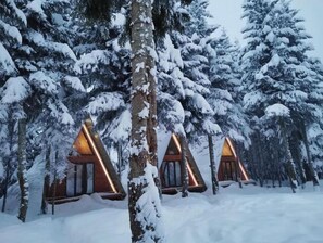 Exterior - Cabin in the forest, near to ski lift, provide breakfast and dinner (Mestia)