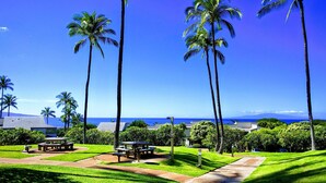 A well-maintained park with picnic tables, lush green grass, and tall palm trees. - Luxury Condo in Wailea with sweeping views (Kihei)