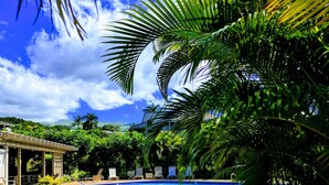 A swimming pool with lounge chairs and palm trees. - Luxury Condo in Wailea with sweeping views (Kihei)