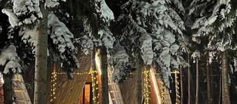 Cabin in the forest, near to ski lift, provide breakfast and dinner