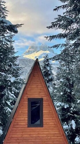 Cabin in the forest, near to ski lift, provide breakfast and dinner
