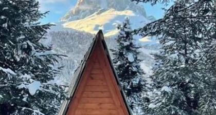 Cabin in the forest, near to ski lift, provide breakfast and dinner
