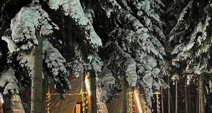 Cabin in the forest, near to ski lift, provide breakfast and dinner