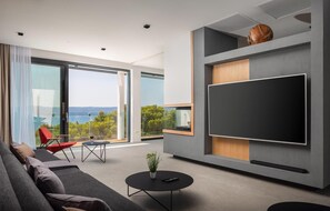 TV connectée, cheminée, chaîne hi-fi