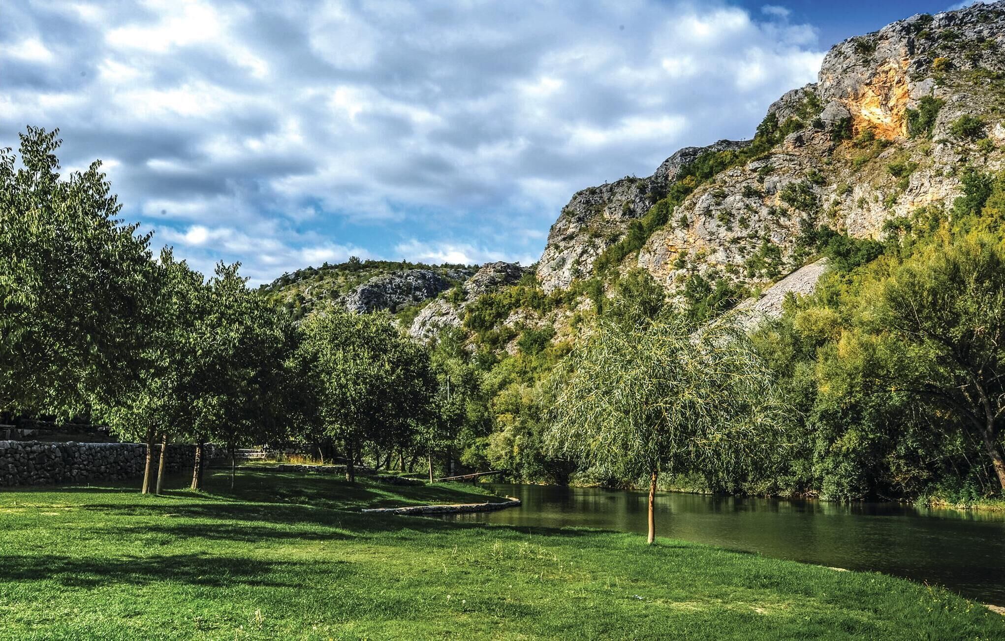 A serene riverside park with lush greenery and a stone wall.