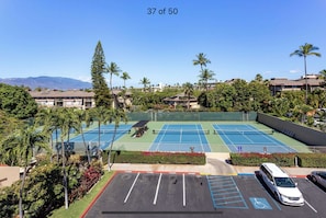 Un court de tennis comprenant plusieurs terrains, entouré de palmiers et doté d’un parking, avec une place de stationnement réservée aux personnes handicapées.