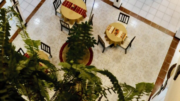 Ein geräumiger Innenbereich mit mehreren Ebenen, der mit hängenden Pflanzen, Tischen, Stühlen und einer zentralen Treppe ausgestattet ist.