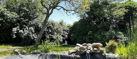 Tuin